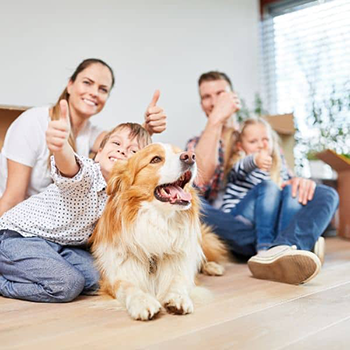 clean home family
